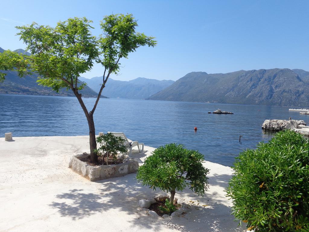 Apartments Ponta Kotor Eksteriør bilde